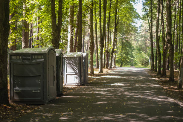 Best Luxury portable toilet rental  in Crystal Falls, MI